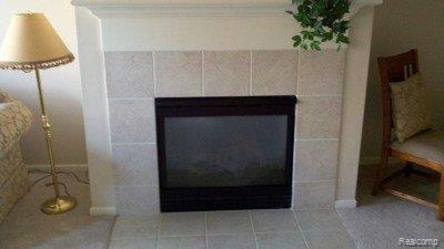 16856 Farmington Road, Unit 64 Livonia, MI 48154 - Photo 11 of 21 Gas Fireplace.jpg