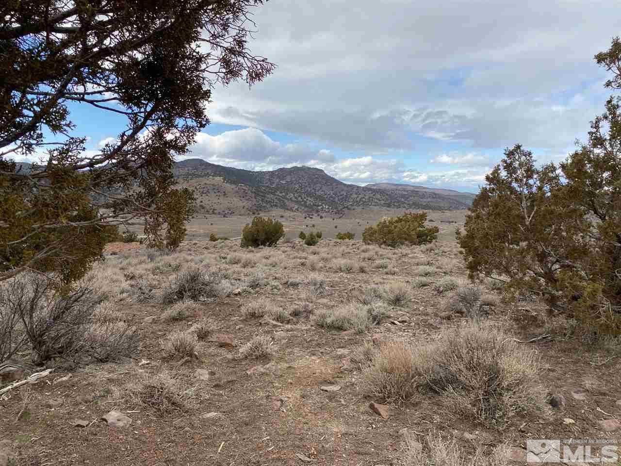 3780 Palisade Road, Unit 378 Reno, NV 89521 - Photo 2 of 3 a view of a dry space with lots of trees