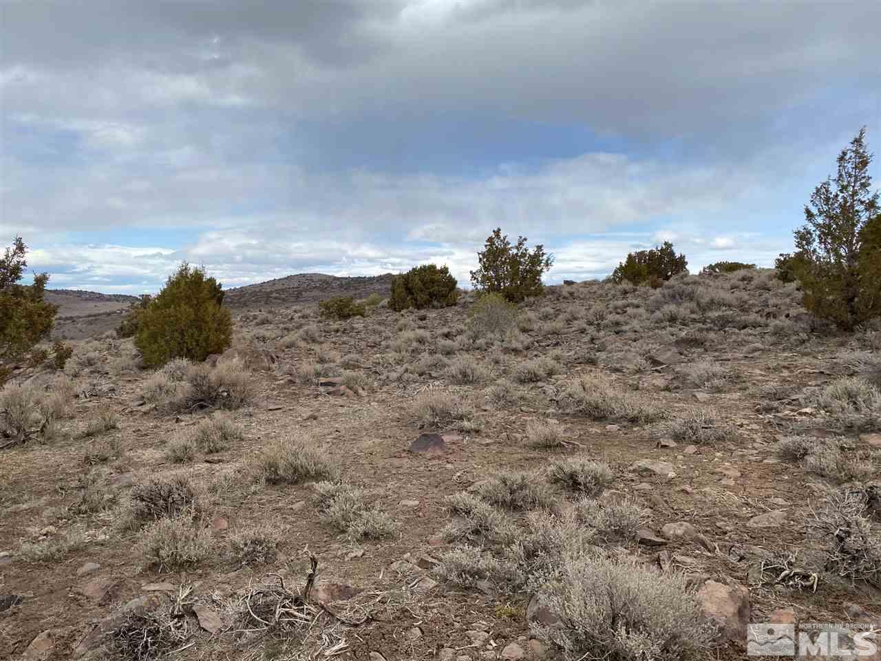 3780 Palisade Road, Unit 378 Reno, NV 89521 - Photo 3 of 3 a view of top of a field with trees in background