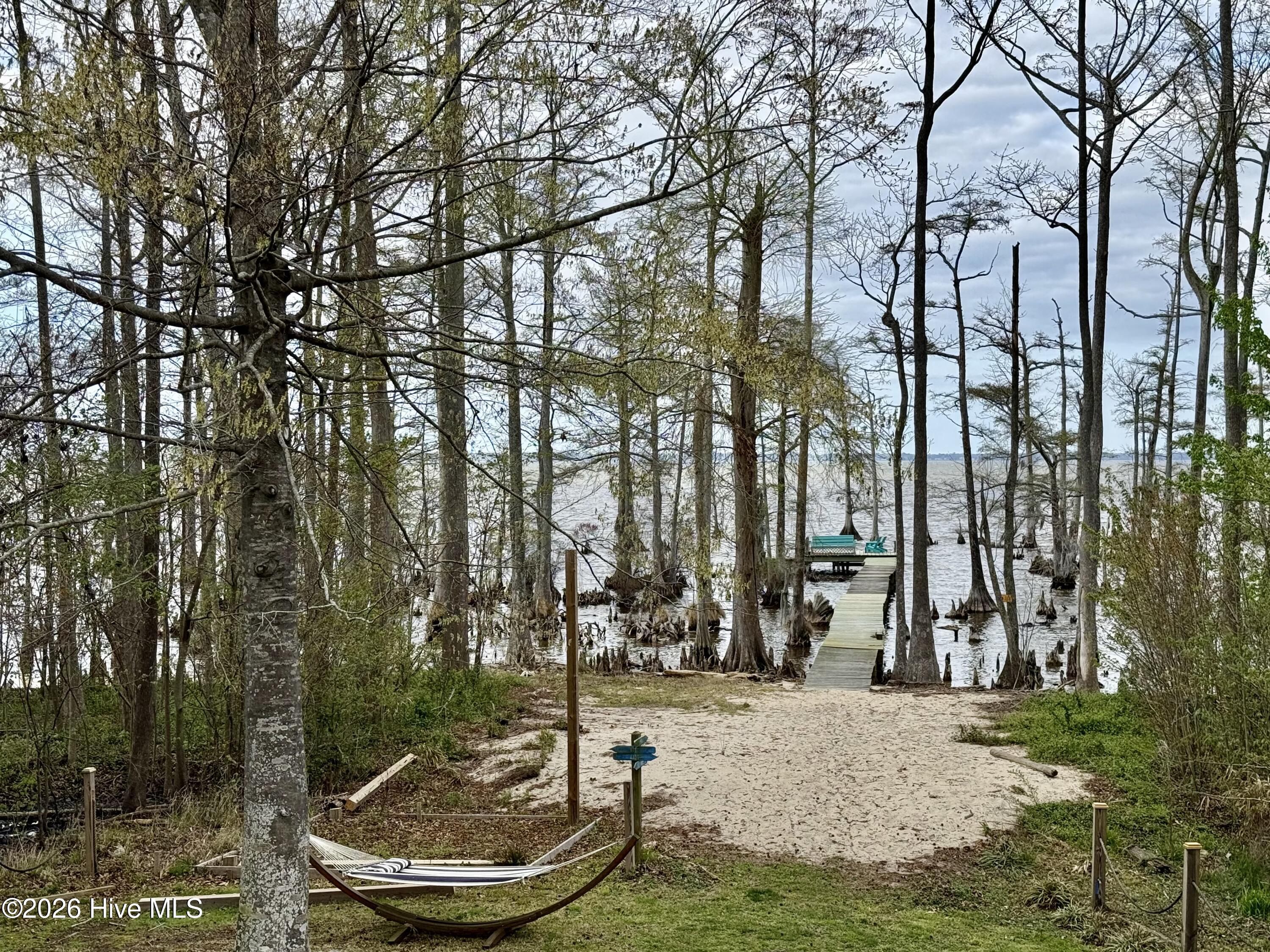 380 Beech Bay Road Roper, NC 27970 - Photo 59 of 85 IMG_8987