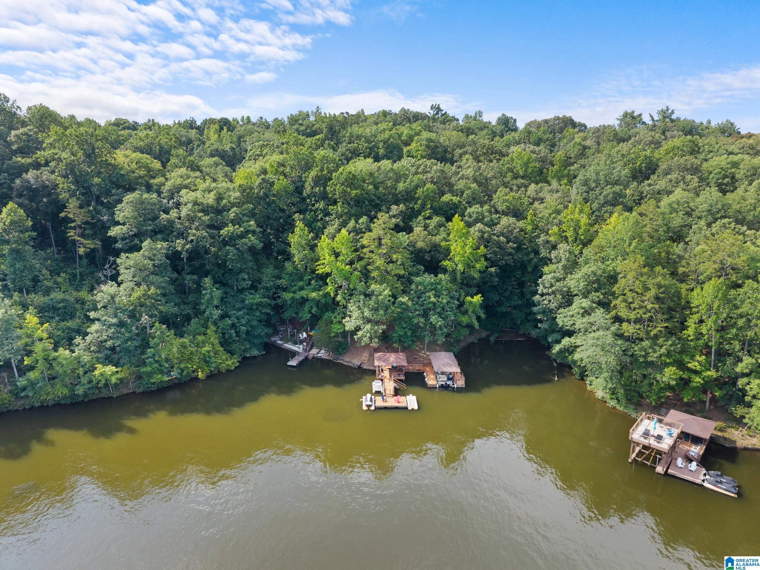487 Poplar Place Wedowee, AL 36278 - Photo 13 of 59