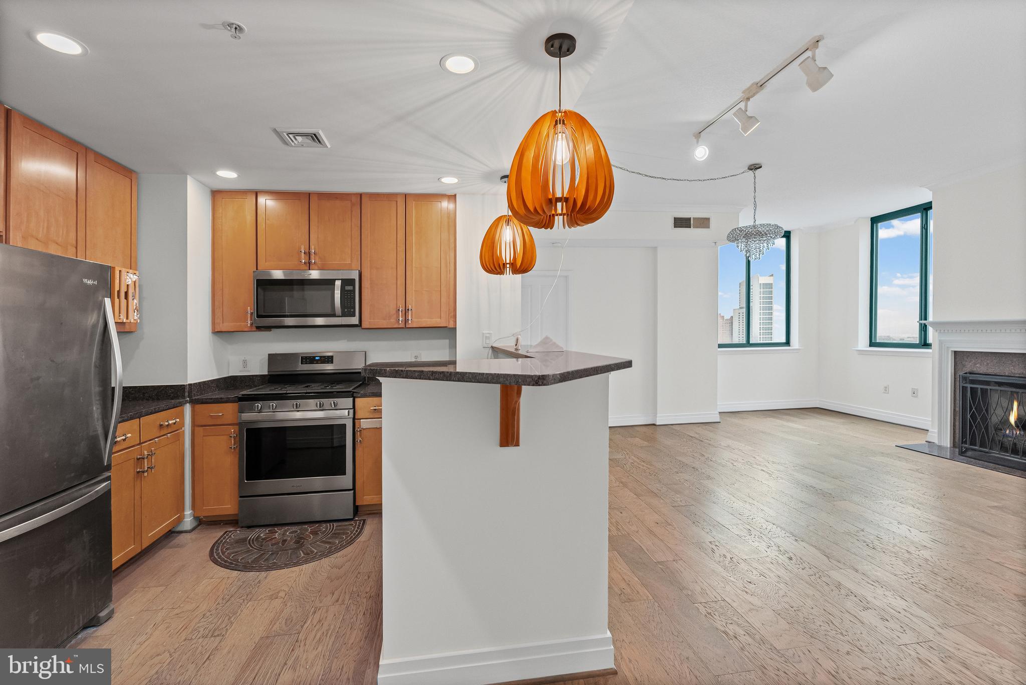 414 Water Street, Unit 2903 Baltimore, MD 21202 - Photo 4 of 46