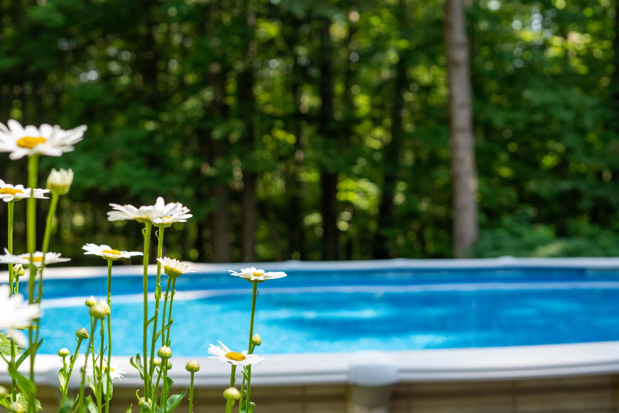 24 Pitman Road Hampstead, NH 03826 - Photo 31 of 37 Gallery Image 31