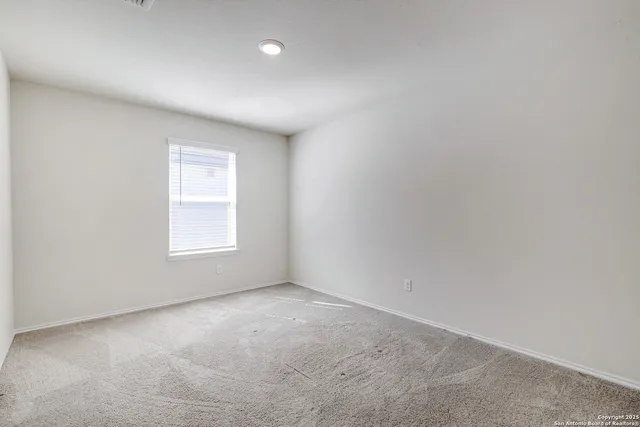 a view of backyard with large trees