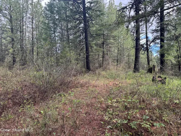 $60,000 | Nka Nka Old Railroad Grade, Plummer, ID 83851