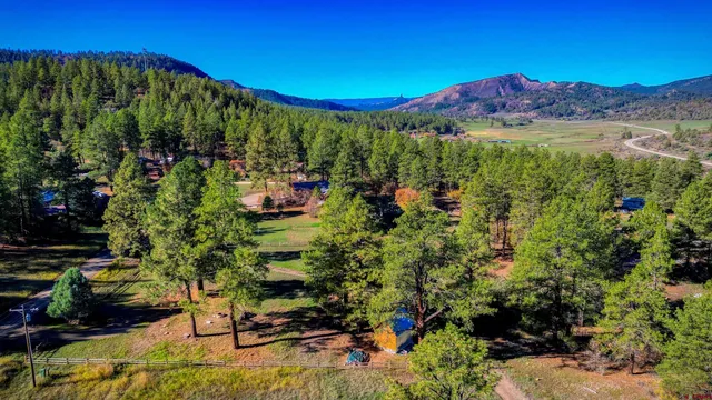 a view of a garden with a house in a back yard