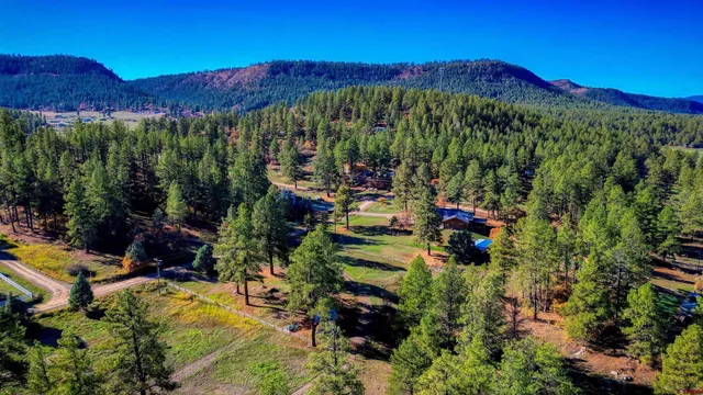 a view of a back yard