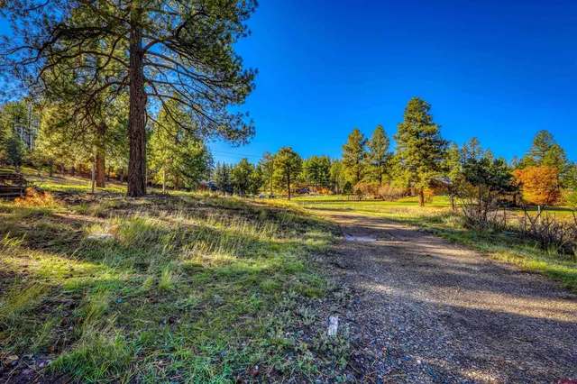 a view of a yard with a tree