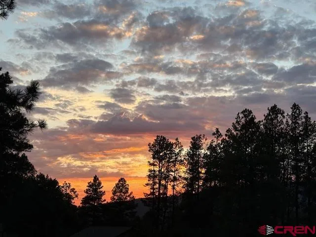 a view of road and yard