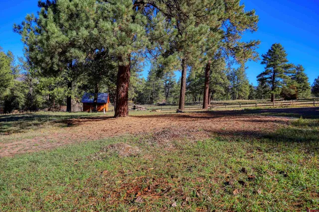 a view of outdoor space with trees