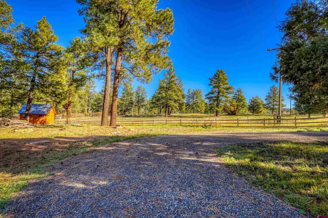 a view of a yard with swimming pool