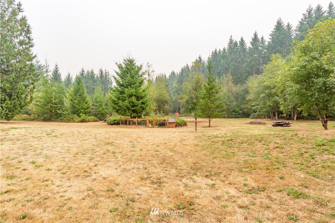 517 South Military Road Winlock, WA 98596 - Photo 22 of 31 a view of yard with trees