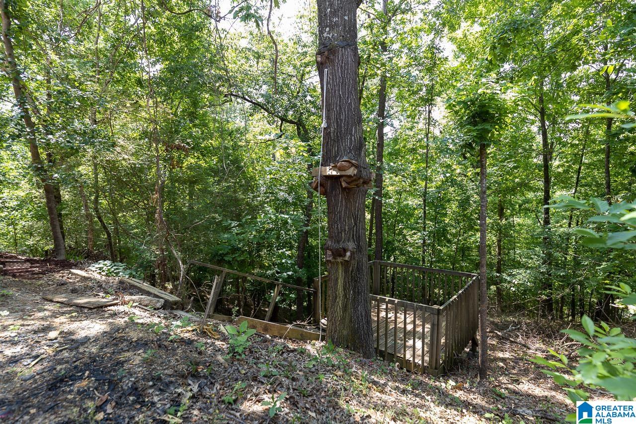 616 Brooks Lane Birmingham, AL 35244 - Photo 37 of 38