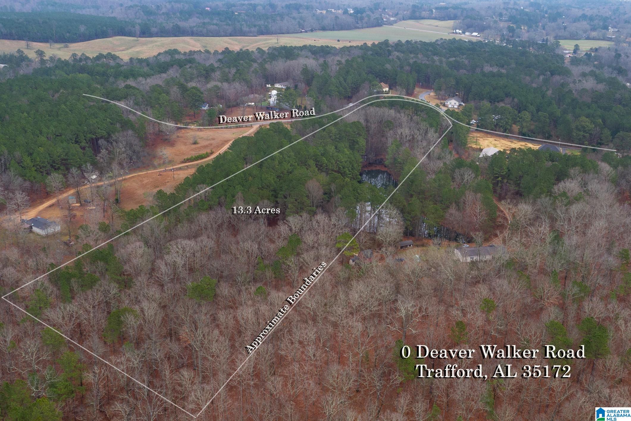 0 Deaver Walker Road Trafford, AL 35172 - Photo 3 of 28