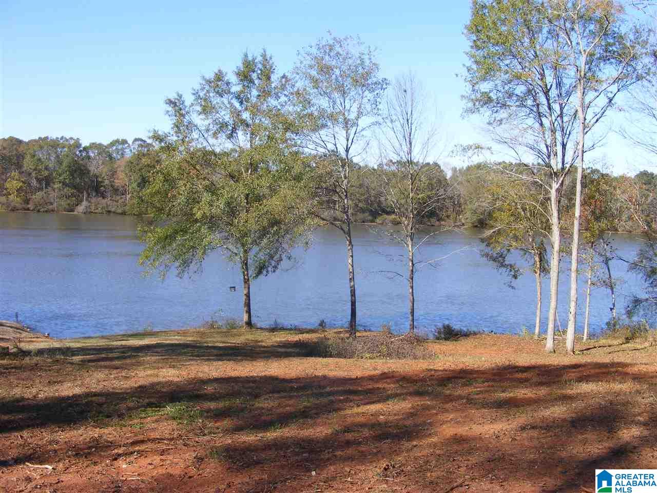 8229 McGowans Ferry Road Childersburg, AL 35044 - Photo 3 of 7
