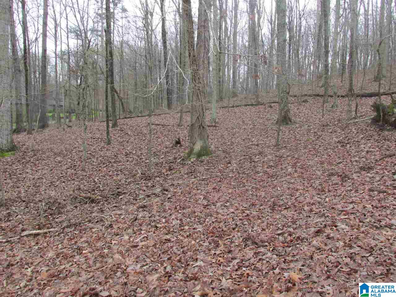 0 Wheeler Road, Unit 1 Blountsville, AL 35031 - Photo 4 of 6