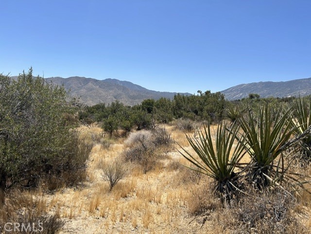 7 Carrizo Road Mountain Center, CA 92561 - Photo 4 of 4