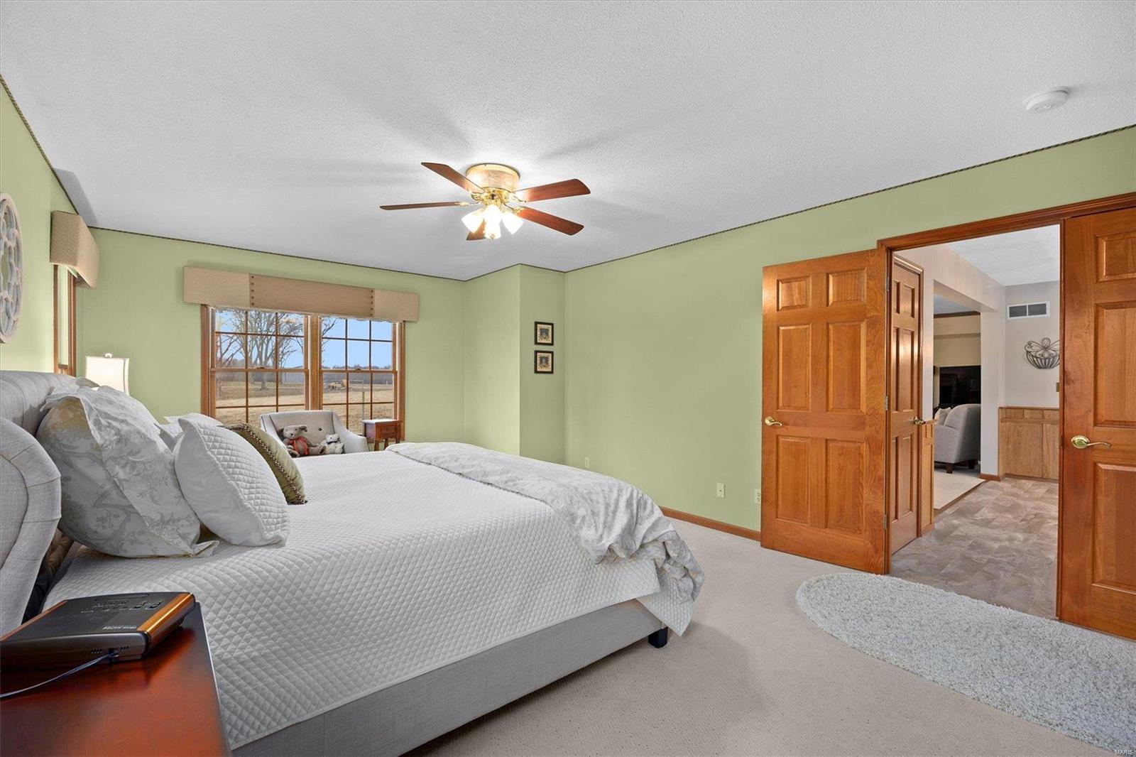 11237 Mayer Road Marine, IL 62061 - Photo 20 of 58