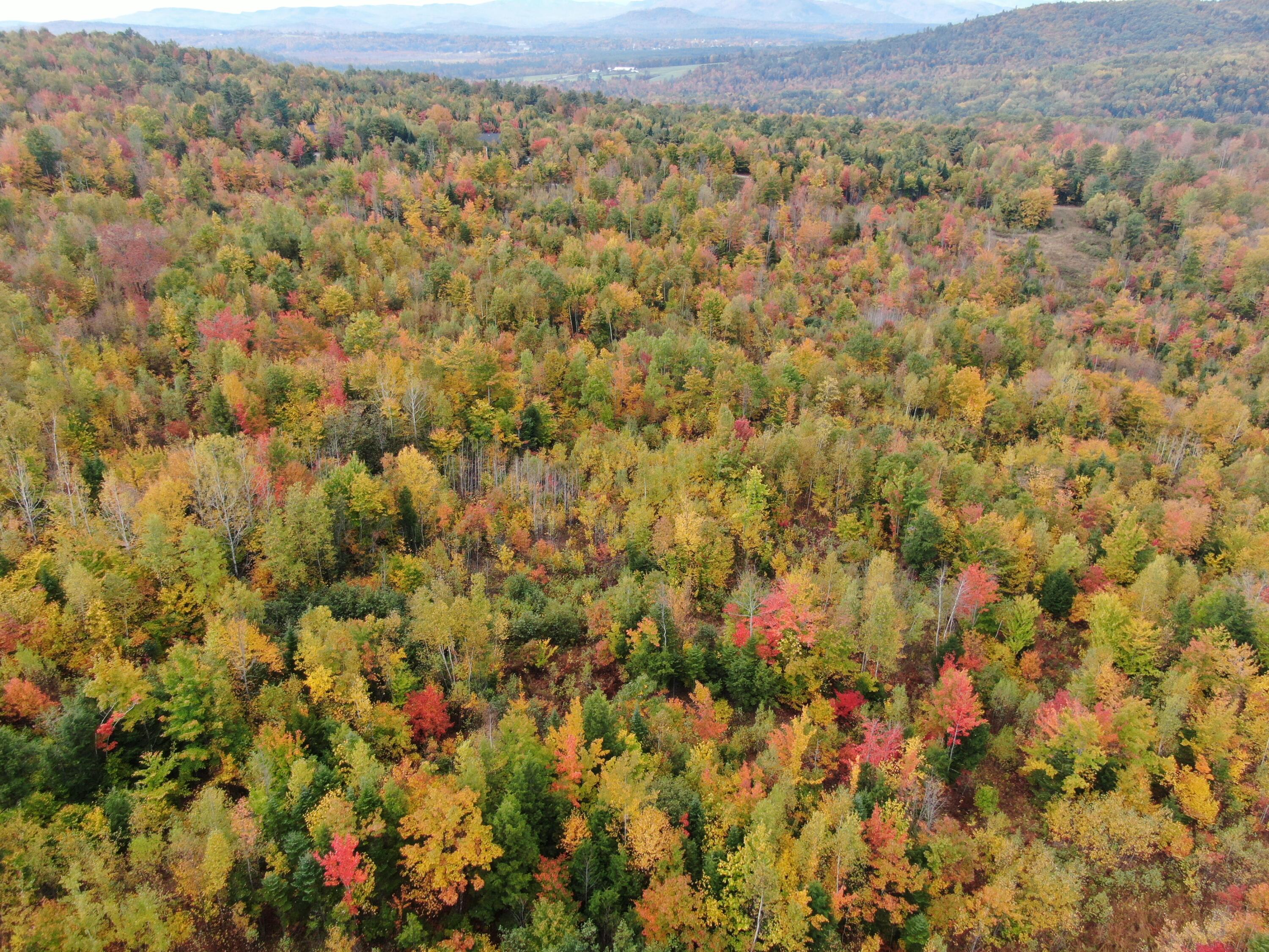86 Nevel Road Bethel, ME 04217 - Photo 10 of 13 DJI_0138
