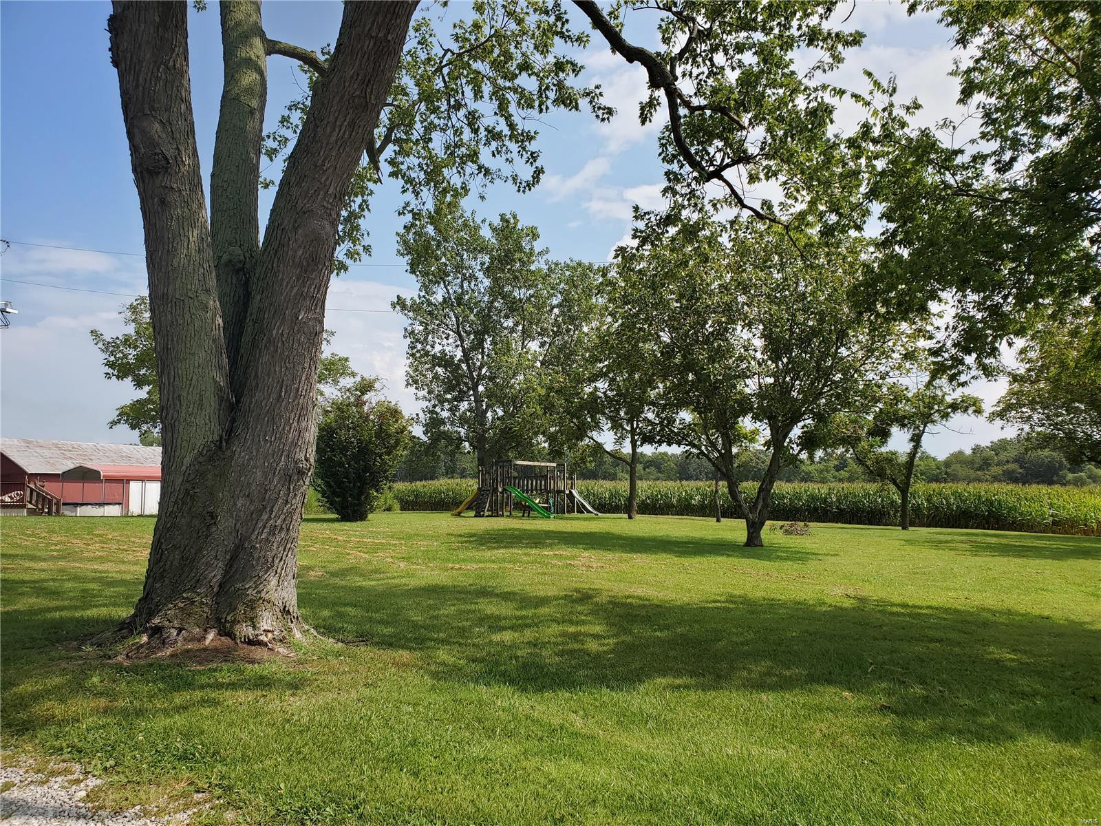 9231 Fallview Road Baldwin, IL 62217 - Photo 4 of 46