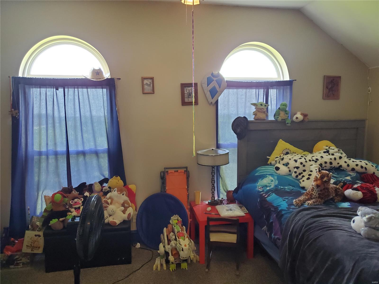 9231 Fallview Road Baldwin, IL 62217 - Photo 37 of 46