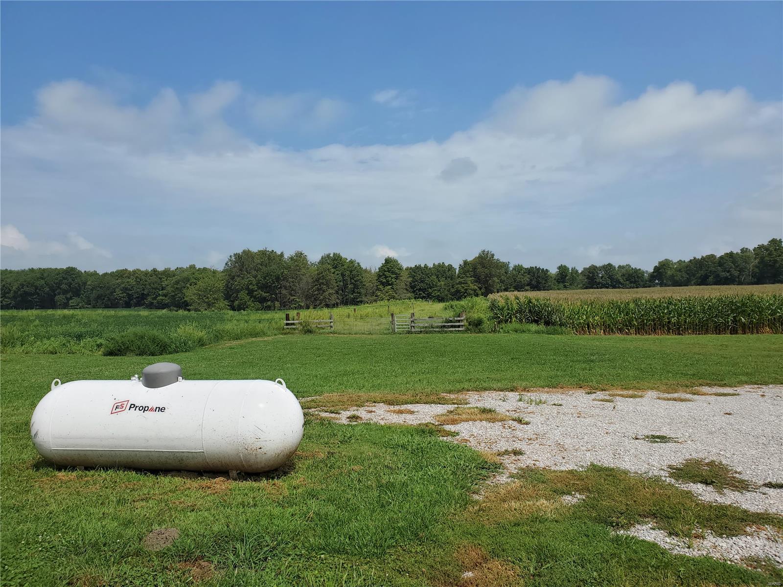 9231 Fallview Road Baldwin, IL 62217 - Photo 6 of 46