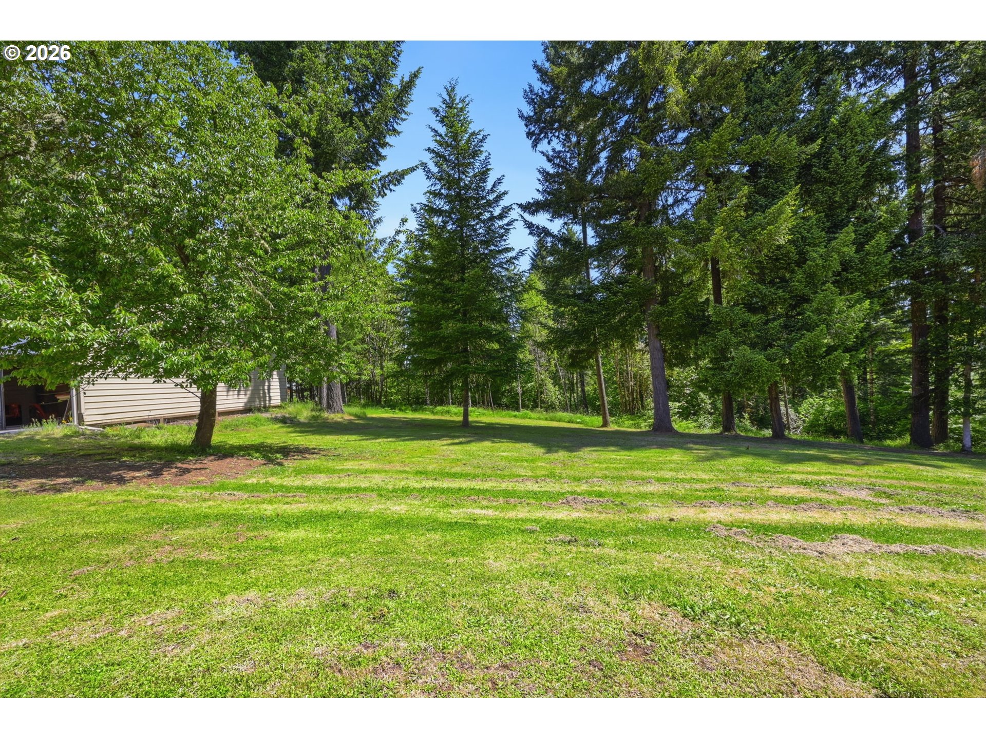 90966 Hill Road Springfield, OR 97478 - Photo 47 of 48 Backyard