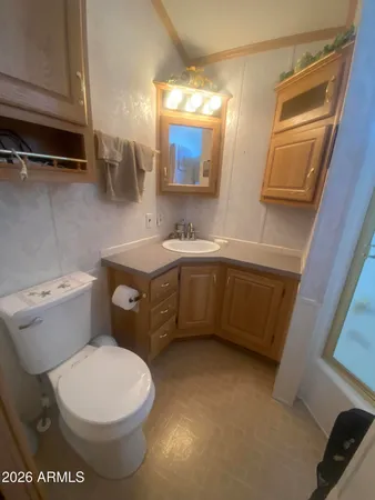 a bathroom with a sink a toilet and mirror
