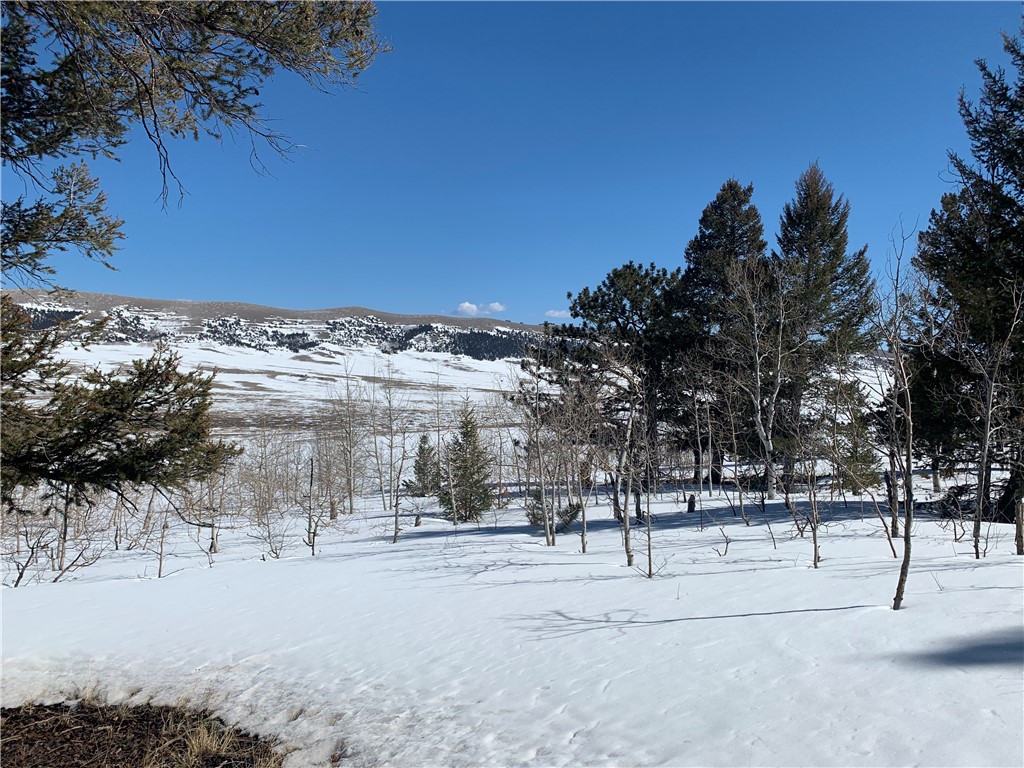 Tbd Redhill Road Fairplay, CO 80440 - Photo 11 of 20 Gallery Image 11