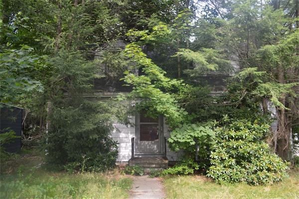 8-10 Coyne Road Newton, MA 02468 - Photo 1 of 1 a view of a yard with plants and large trees