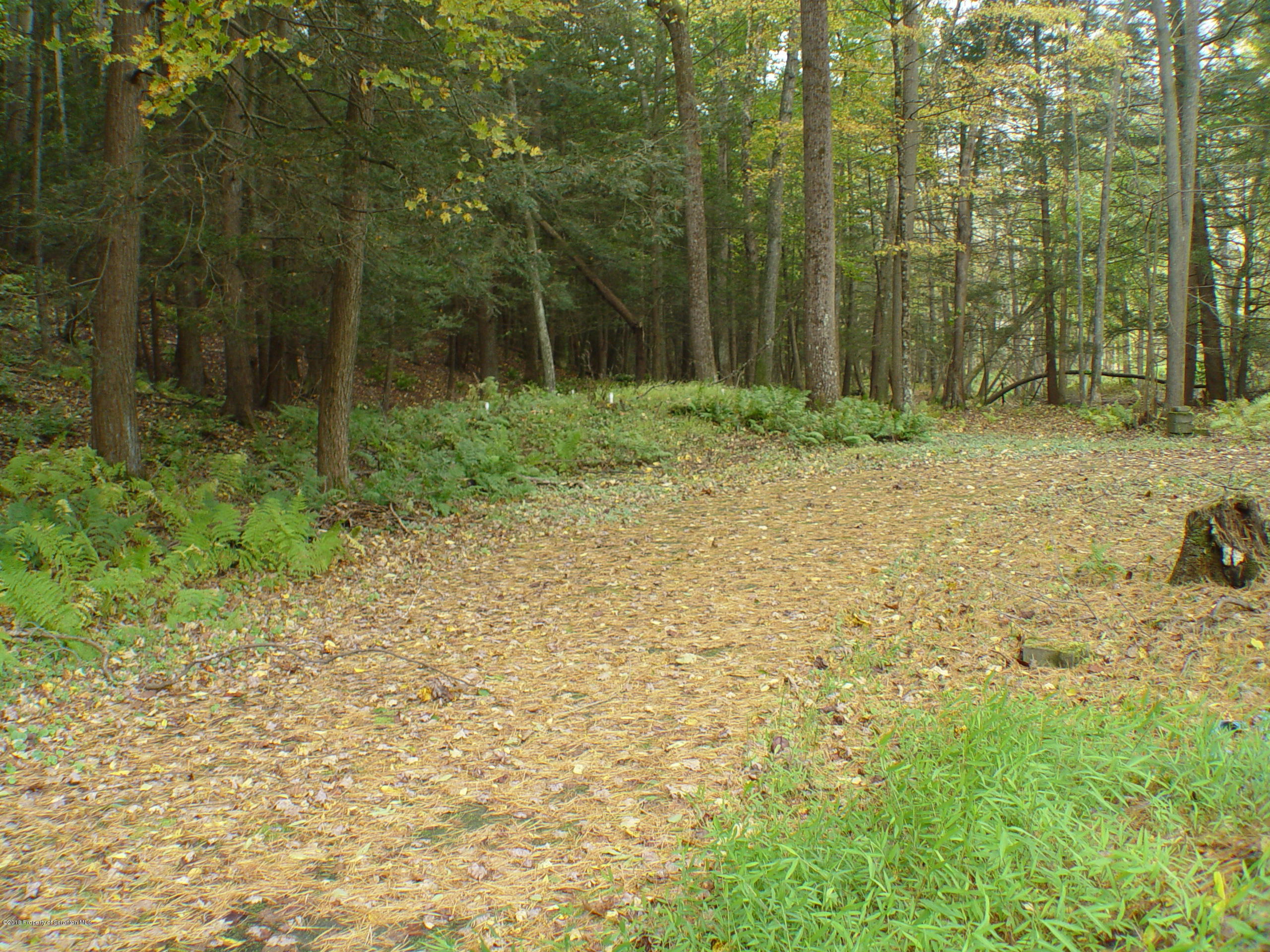 716 Sutton Creek Road Pittston, PA 18643 - Photo 46 of 100 Gallery Image 46