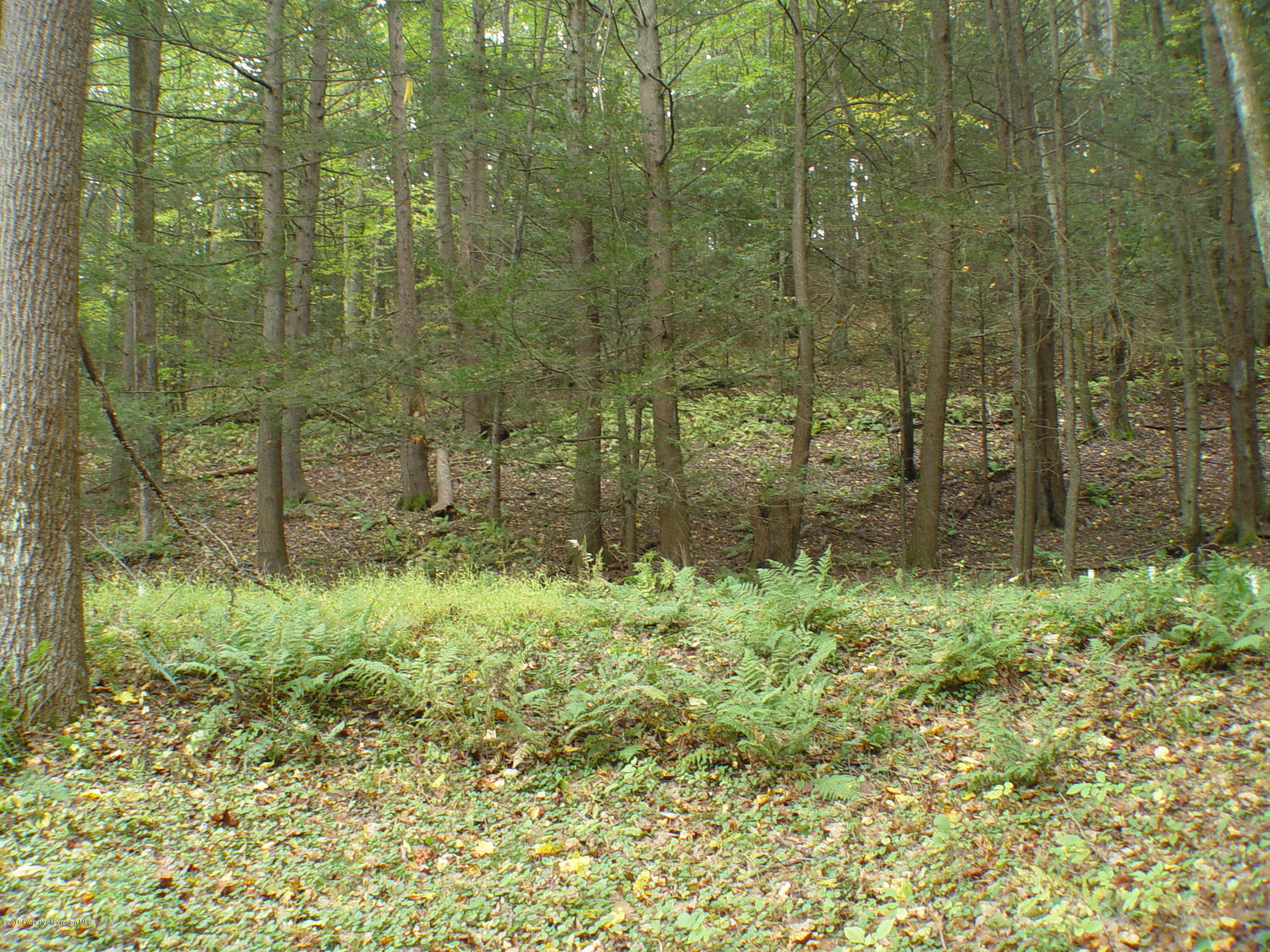 716 Sutton Creek Road Pittston, PA 18643 - Photo 54 of 100 Gallery Image 54