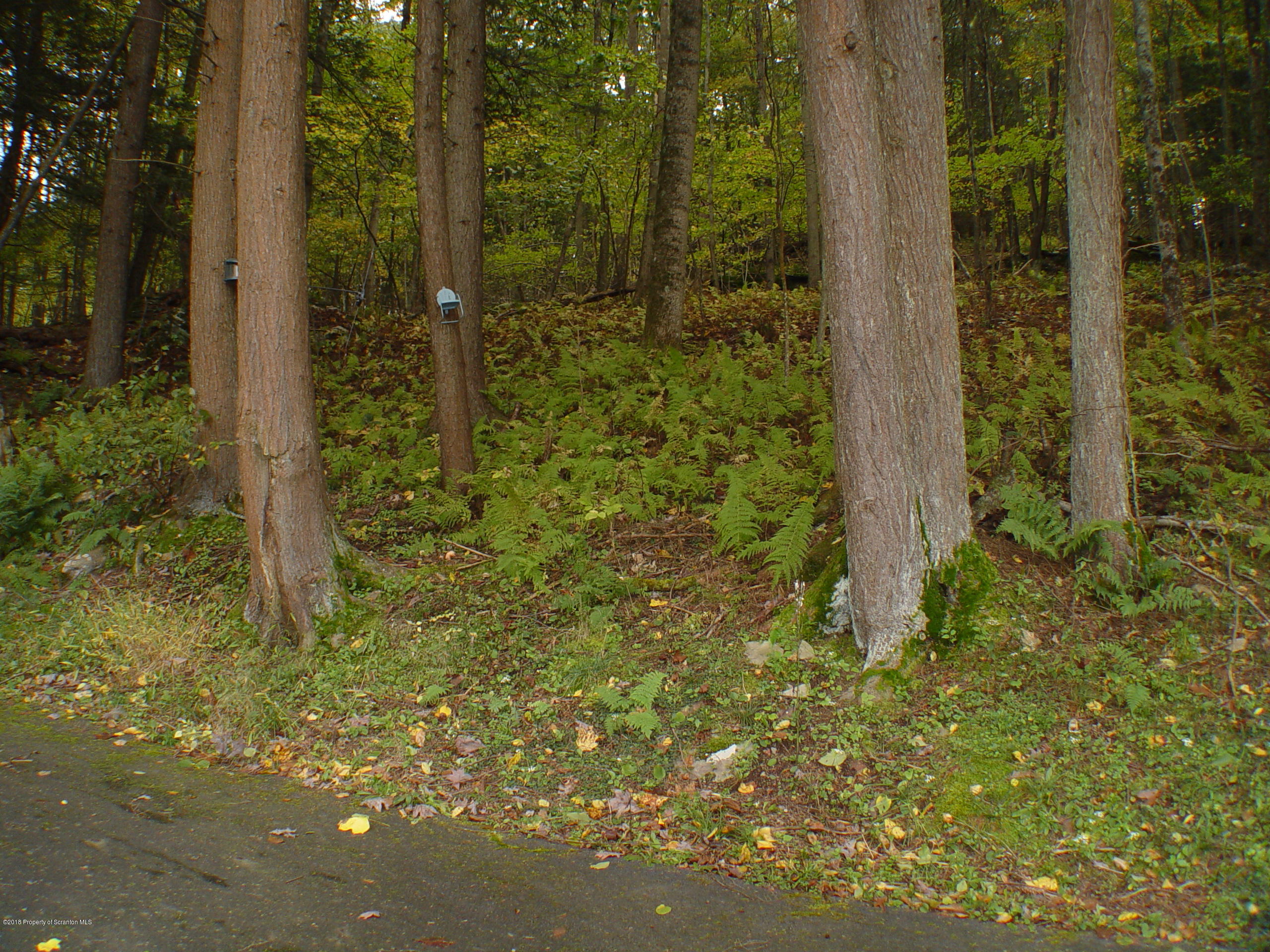 716 Sutton Creek Road Pittston, PA 18643 - Photo 93 of 100 Gallery Image 93