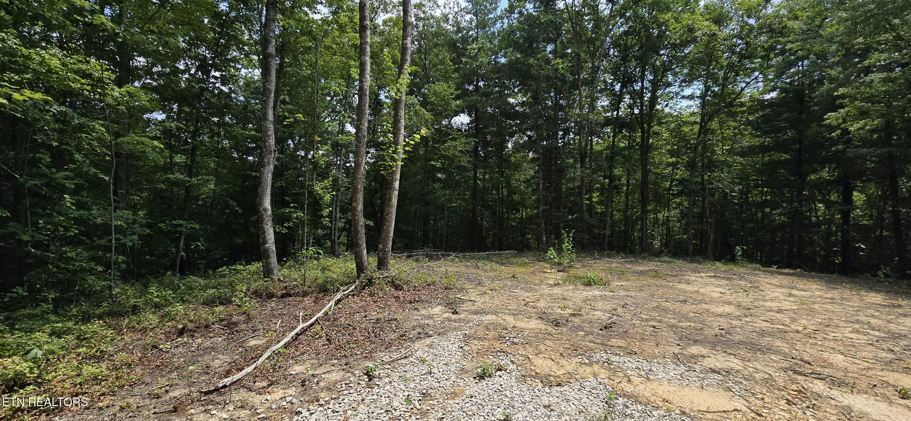 0 Wilderness Trail Oneida, TN 37841 - Photo 8 of 10 20260810_134941