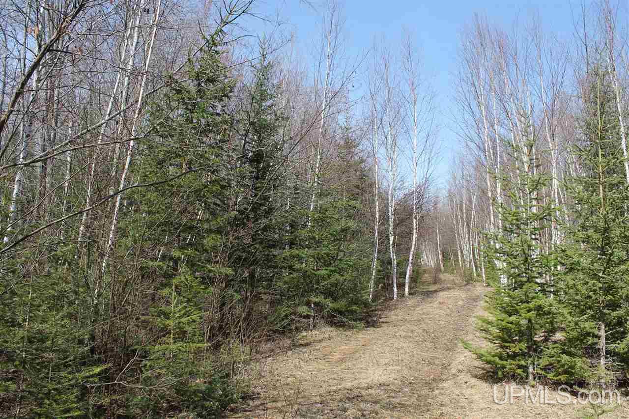 Tbd Reeds Point Road, Unit LAT 46 89919 LON 88 2455 Lanse, MI 49946 - Photo 4 of 19