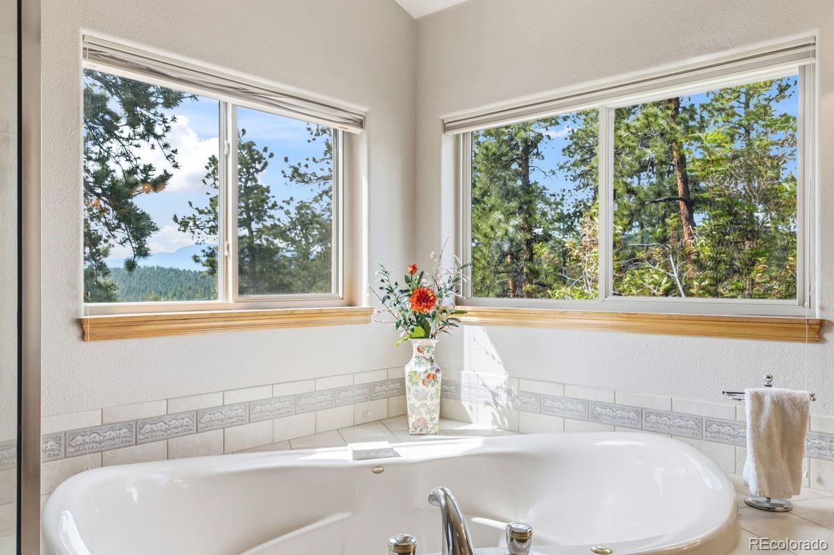 163 Old Corral Road Bailey, CO 80421 - Photo 20 of 50 Gallery Image 20