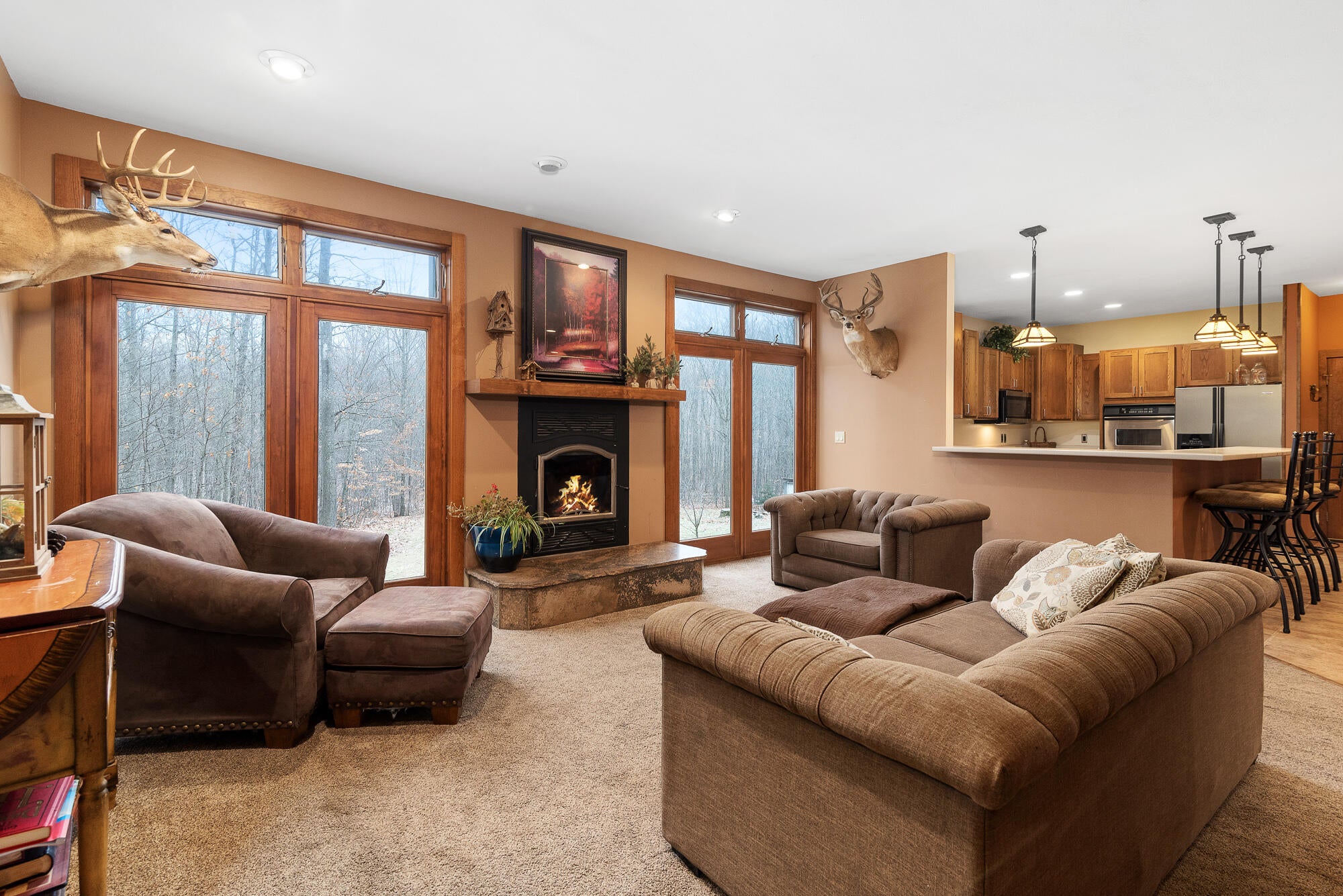 10263 Wildwood Road Alanson, MI 49706 - Photo 9 of 41 Gallery Image 9