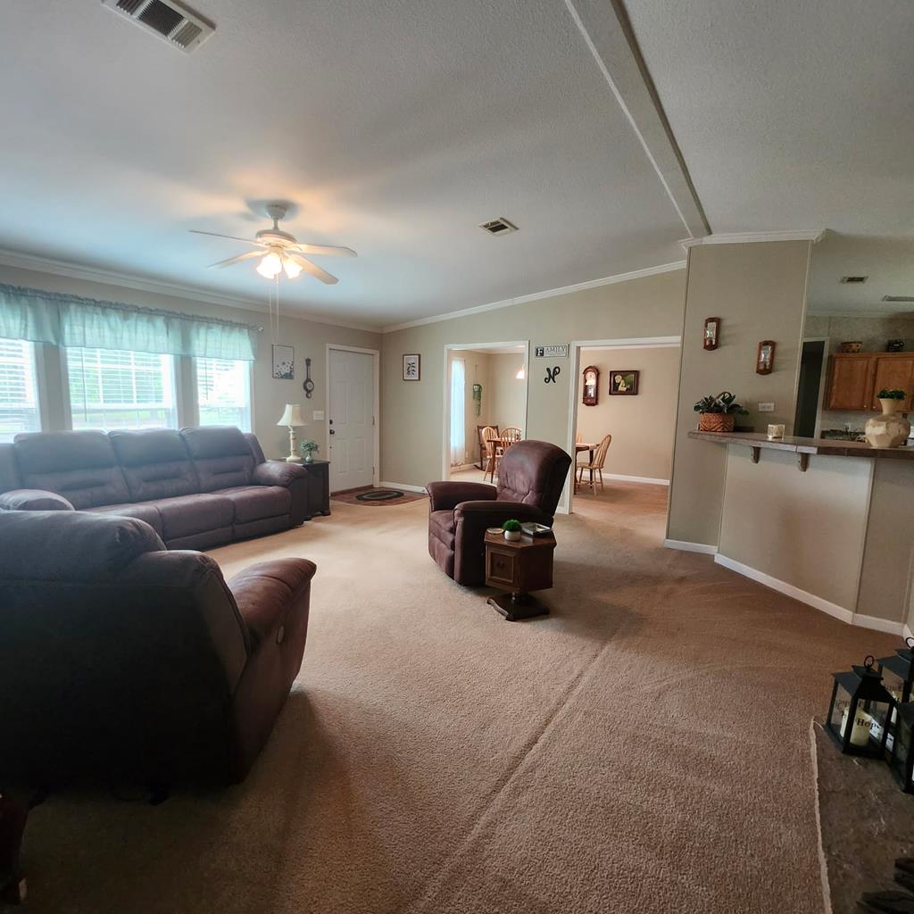 786 Blackberry Road Baconton, GA 31716 - Photo 22 of 67 Gallery Image 22