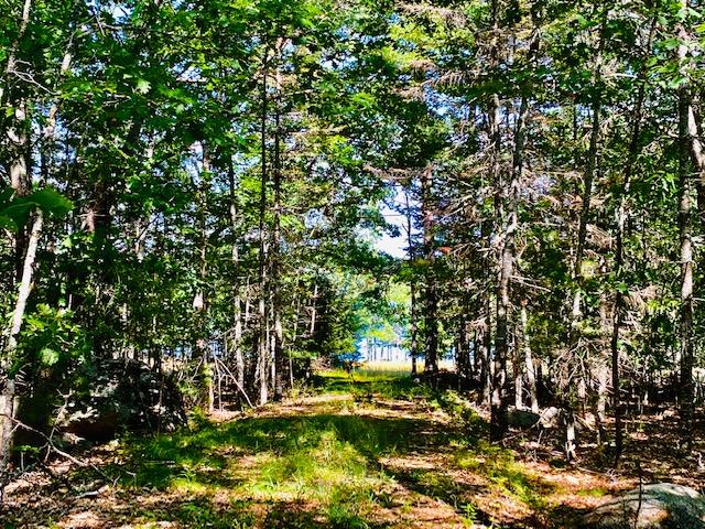 54 Dwelly Point Road Franklin, ME 04634 - Photo 12 of 30 Driveway