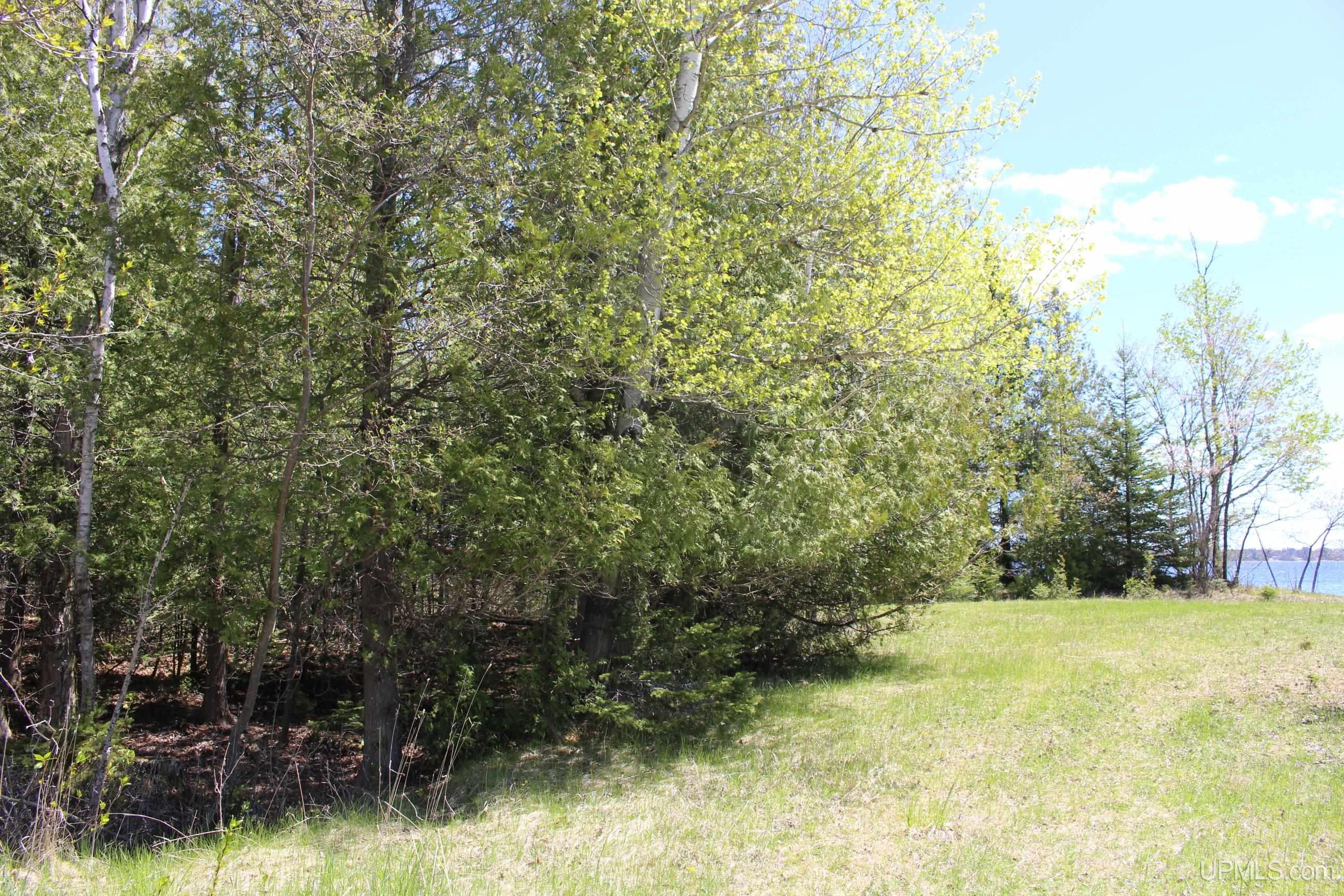 23.5 Rd Gladstone Mi 49837 Road Gladstone, MI 49837 - Photo 7 of 50