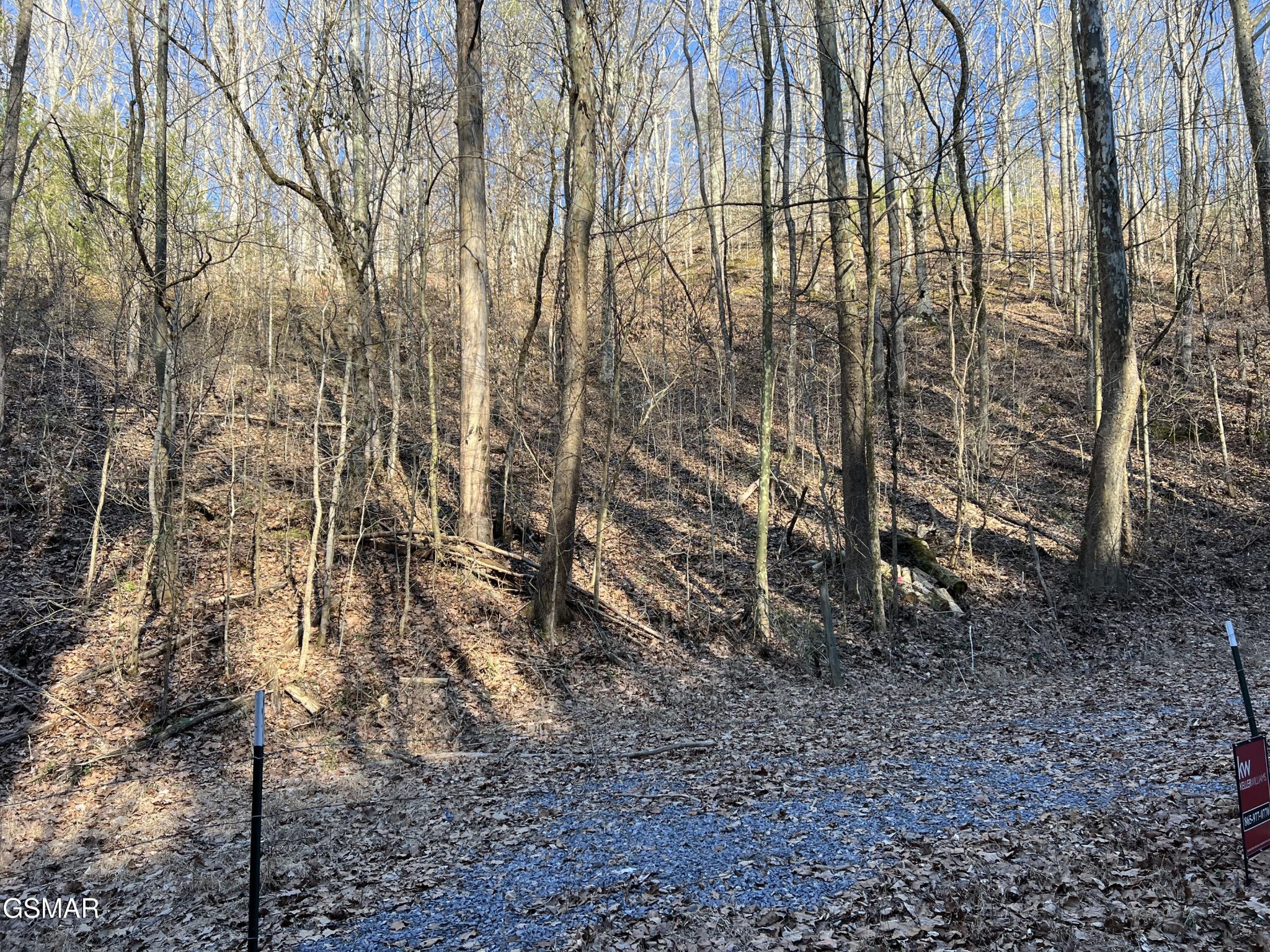 1 Indian Gap Road Sevierville, TN 37876 - Photo 1 of 9