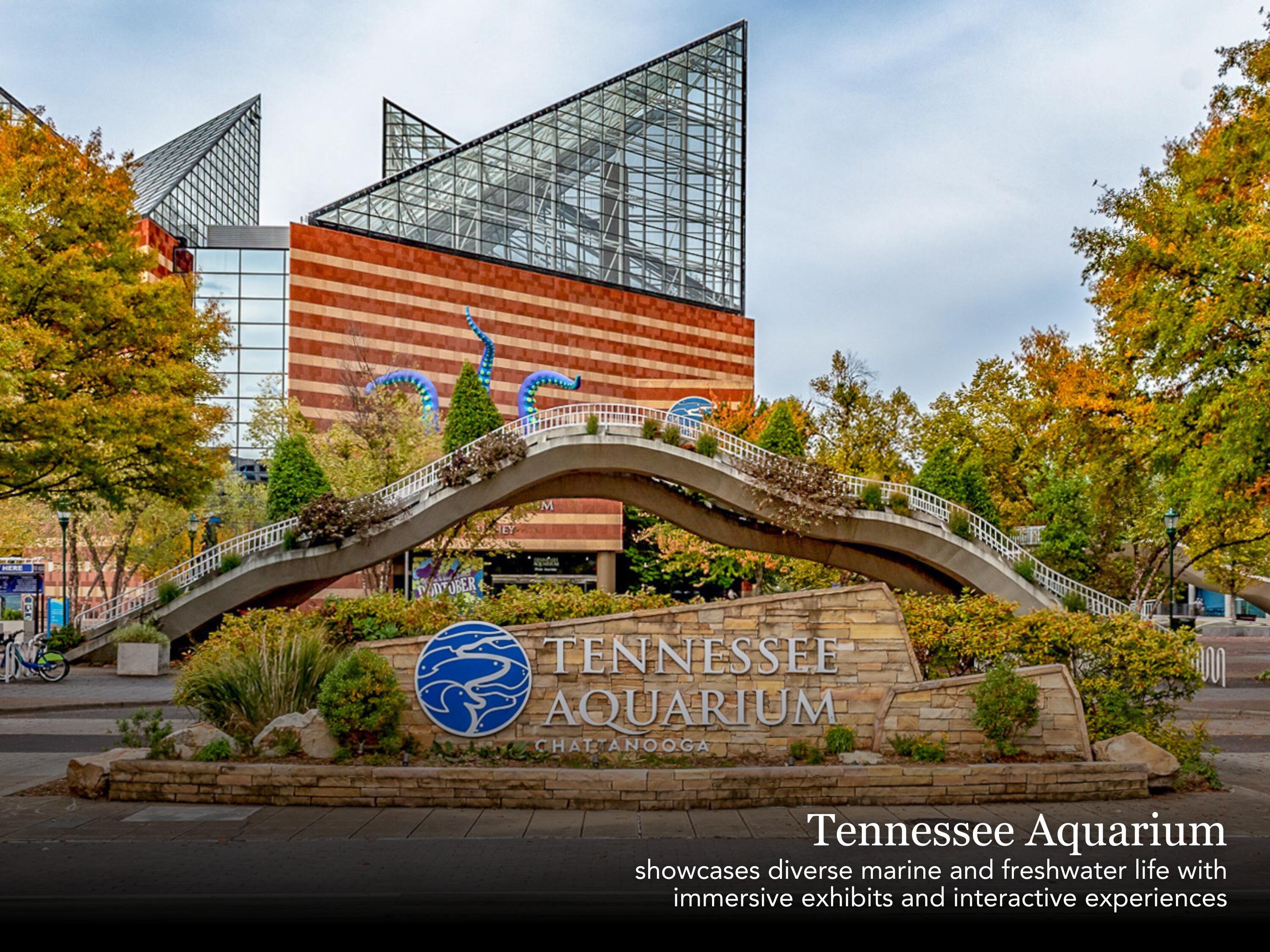 Lot 139 Edgewater Way Jasper, TN 37347 - Photo 21 of 24 Tennessee Aquarium