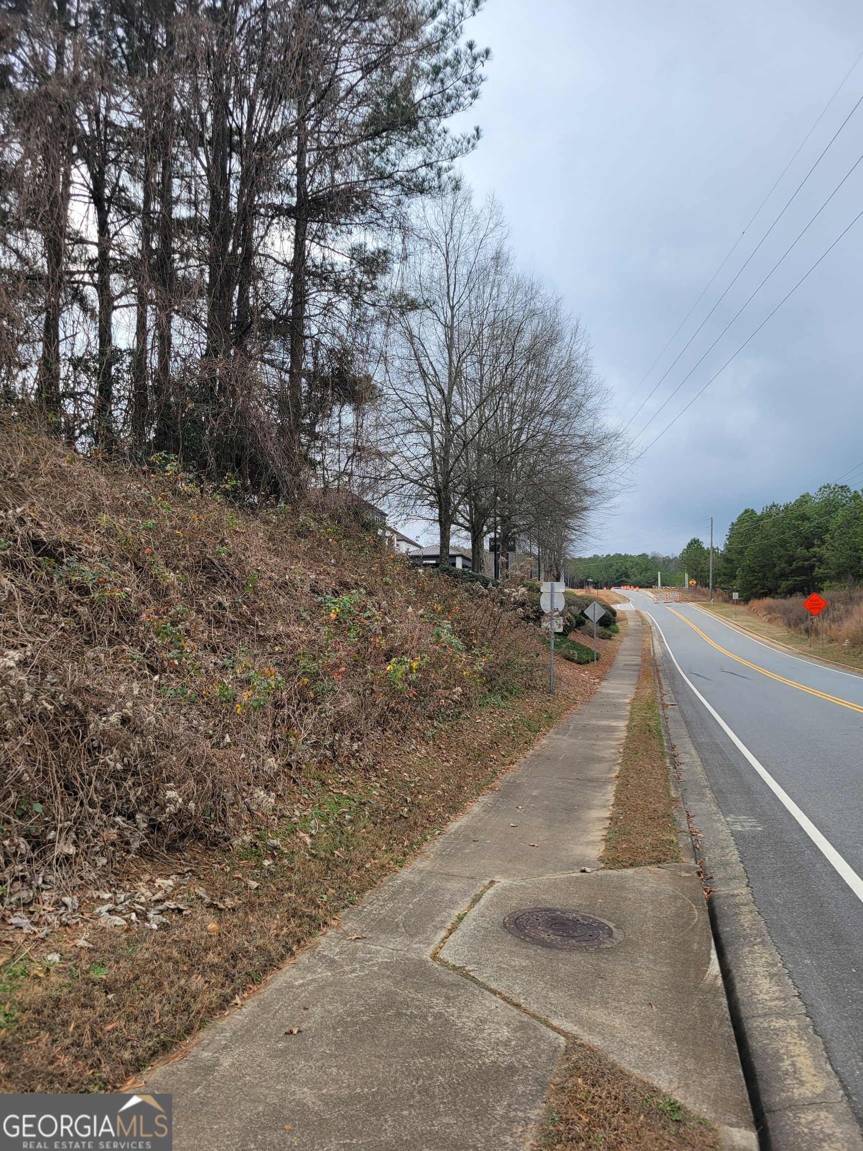 175 Old Peachtree Road Northwest Suwanee, GA 30024 - Photo 2 of 4 a view of backyard of the house