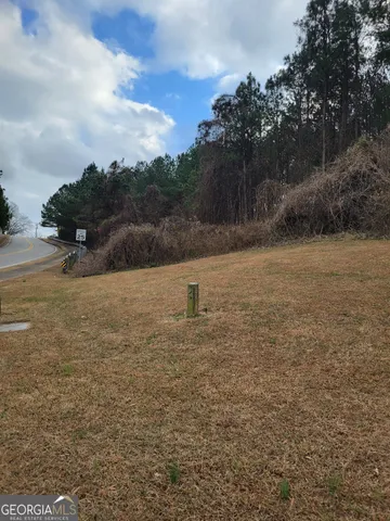 a view of backyard of the house
