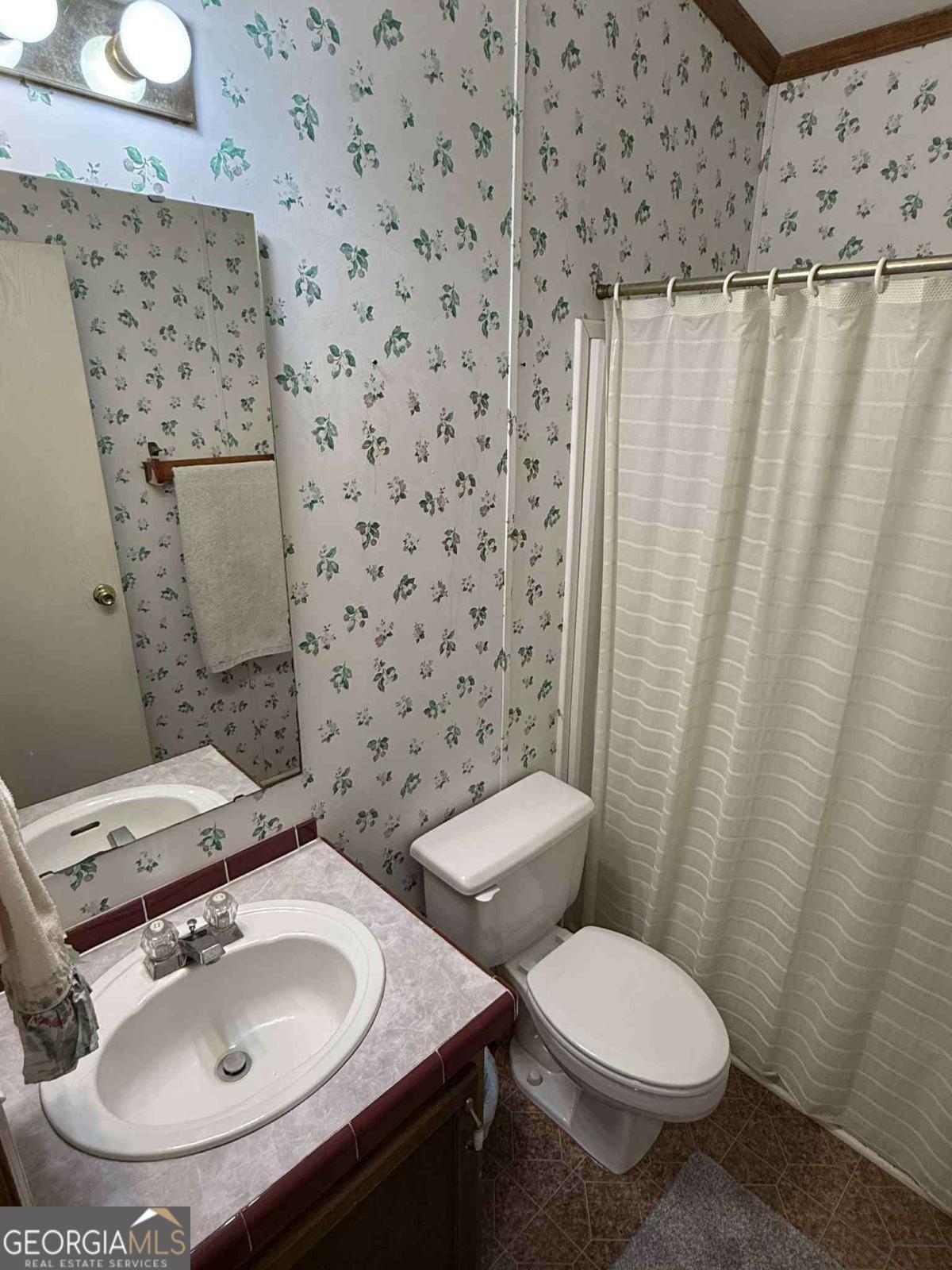 289 Mason Dixon Line Road, Unit 3 Ashburn, GA 31714 - Photo 21 of 32 a bathroom with a sink a toilet and a mirror