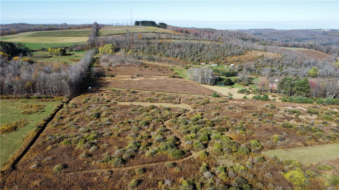 0 Snow Road Whitesville, NY 14897 - Photo 1 of 1