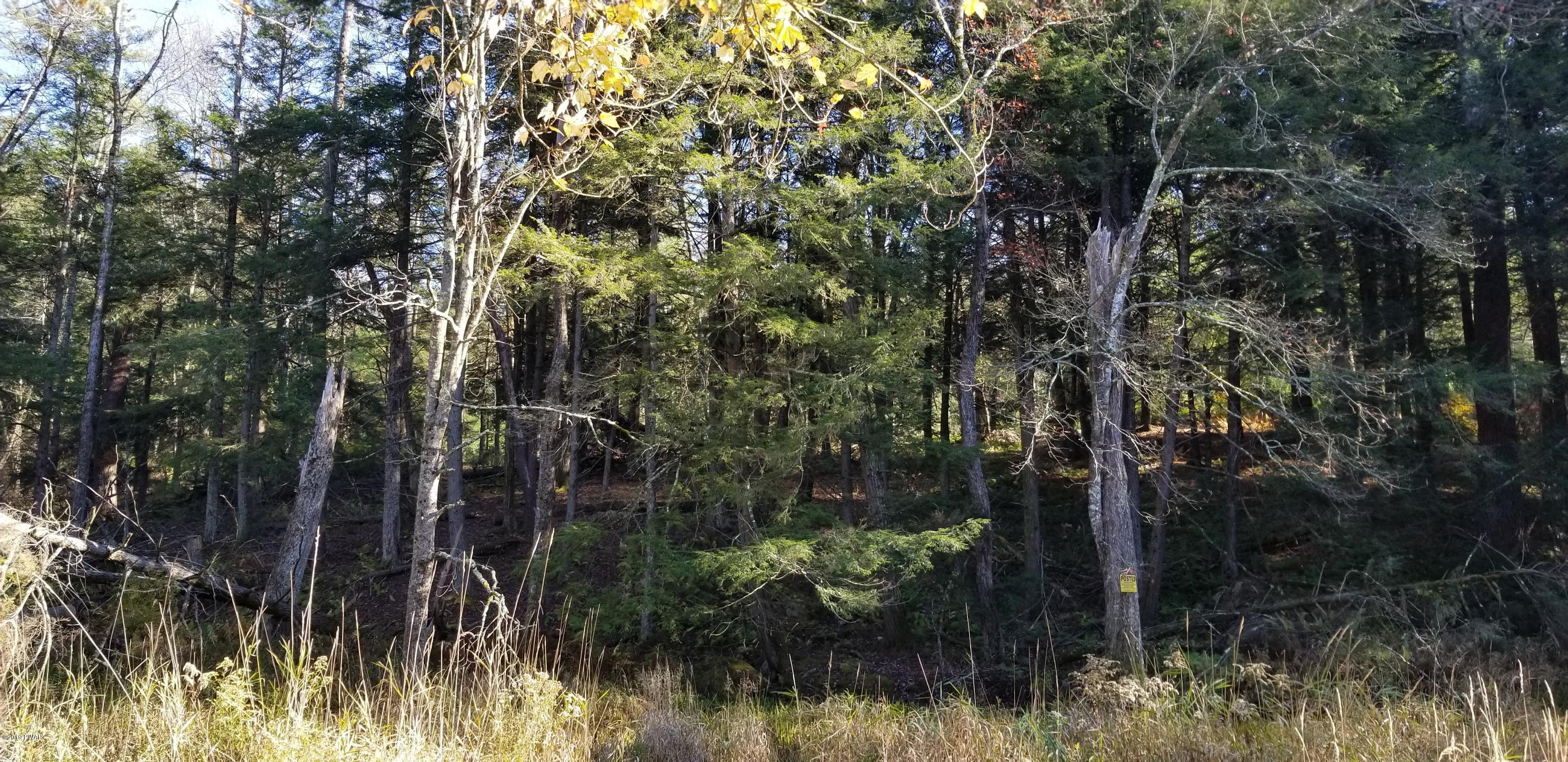 Lot #22 Swamp Pond Road Narrowsburg, NY 12764 - Photo 13 of 36