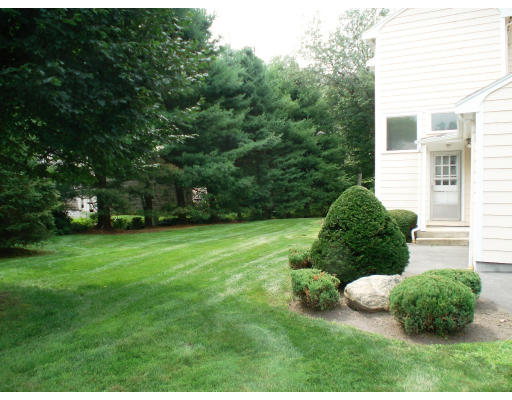 141 Worthen Road Lexington, MA 02421 - Photo 19 of 21 a view of a garden with a large tree