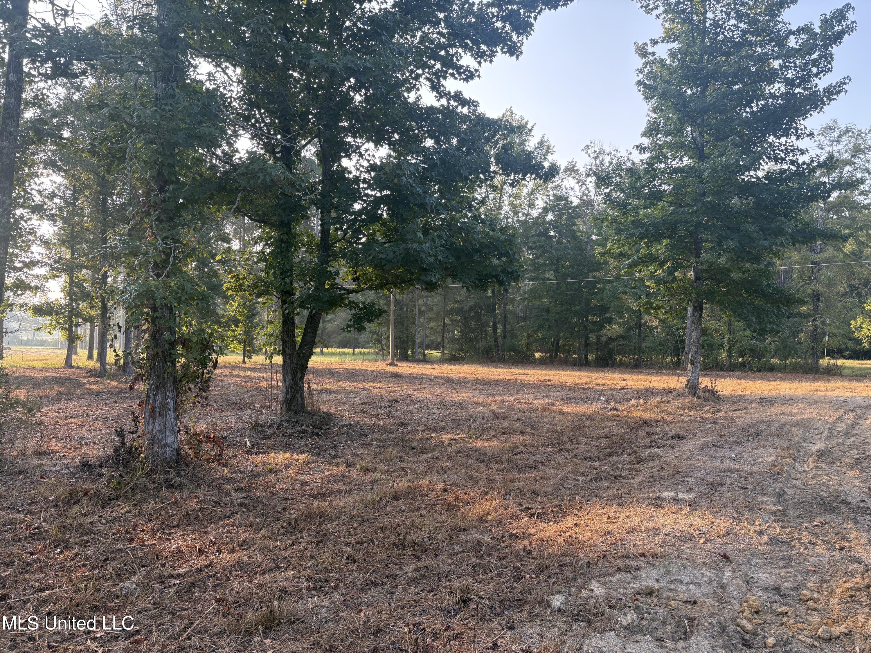 0 Highway 80 Forest, MS 39074 - Photo 2 of 3 IMG_0723