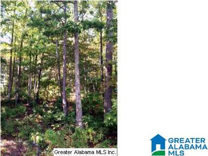 Lakeridge Drive, Unit 4 Ashville, AL 35953 - Photo 9 of 19